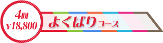よくばりコース