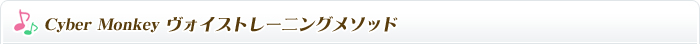 レッスン内容